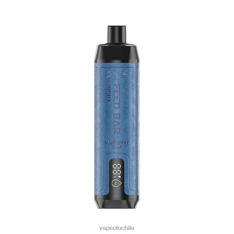 VapSolo Nicotina - chicle de arándanos VapSolo SHISHA vaporizador desechable 2H6064
