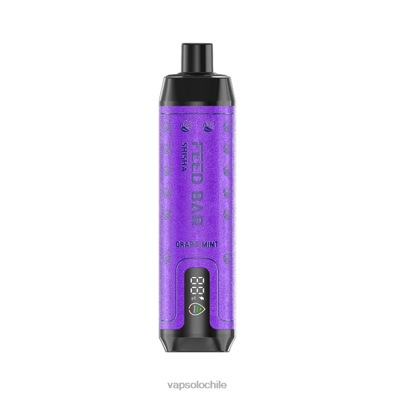 VapSolo Precio - menta de uva VapSolo SHISHA vaporizador desechable 2H6066