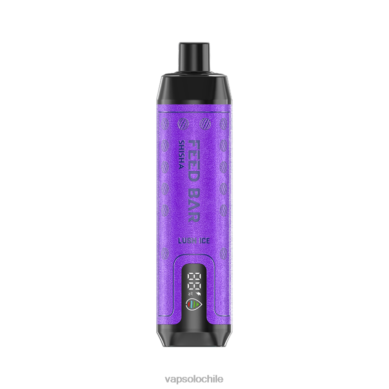 VapSolo Sabores - hielo exuberante VapSolo SHISHA vaporizador desechable 2H6068