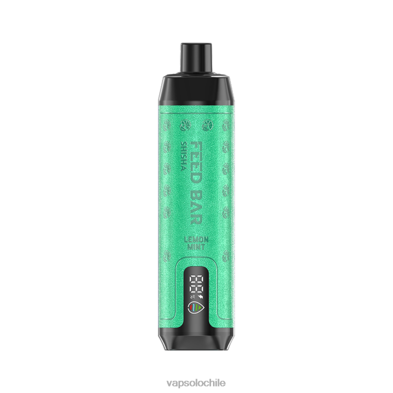 Vaper Desechable VapSolo - menta limon VapSolo SHISHA vaporizador desechable 2H6067